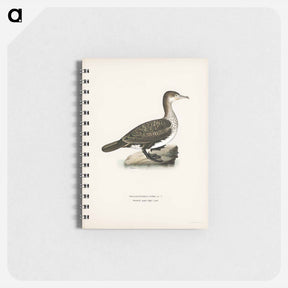アートメモ帳-Great Cormorant
 - スヴェンスカ フォグラル Memo.