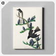 アートパネル-Olive sided Flycatcher from Birds of America
 - アメリカの鳥たち Canvas.