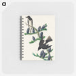 アートメモ帳-Olive sided Flycatcher from Birds of America
 - アメリカの鳥たち Memo.