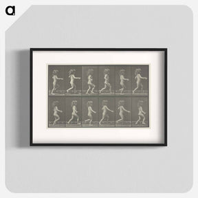 アートポスター-Animal Locomotion, Plate 469
 - エドワード マイブリッジ Poster.