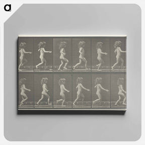アートパネル-Animal Locomotion, Plate 469
 - エドワード マイブリッジ Canvas.