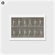 アートポストカード-Animal Locomotion, Plate 469
 - エドワード マイブリッジ Postcard.