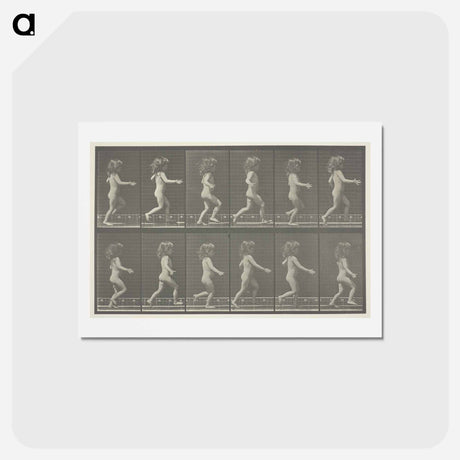 アートポストカード-Animal Locomotion, Plate 469
 - エドワード マイブリッジ Postcard.