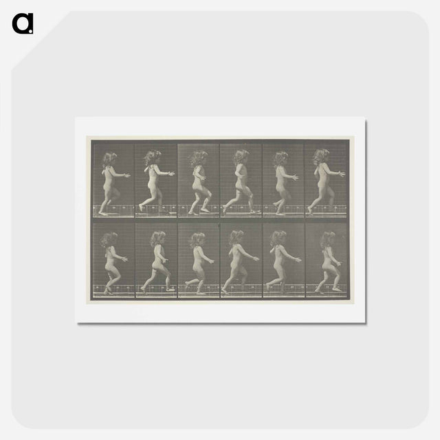 アートポストカード-Animal Locomotion, Plate 469
 - エドワード マイブリッジ Postcard.