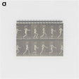 アートメモ帳-Animal Locomotion, Plate 469
 - エドワード マイブリッジ Memo.