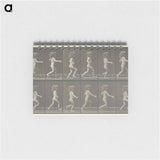 アートメモ帳-Animal Locomotion, Plate 469
 - エドワード マイブリッジ Memo.