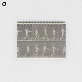 アートメモ帳-Animal Locomotion, Plate 469
 - エドワード マイブリッジ Memo.