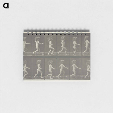 アートメモ帳-Animal Locomotion, Plate 469
 - エドワード マイブリッジ Memo.