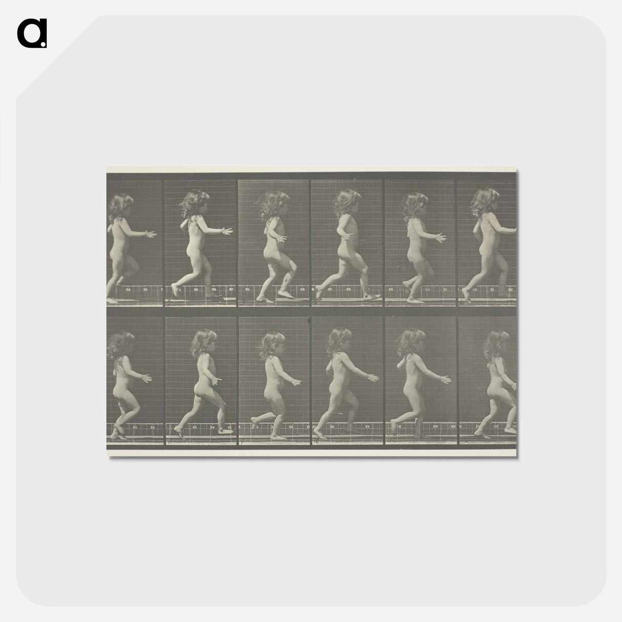 アートポストカード-Animal Locomotion, Plate 469
 - エドワード マイブリッジ Postcard.