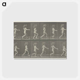 アートポストカード-Animal Locomotion, Plate 469
 - エドワード マイブリッジ Postcard.