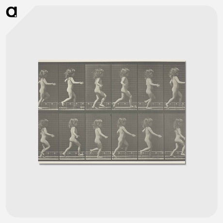 アートポストカード-Animal Locomotion, Plate 469
 - エドワード マイブリッジ Postcard.