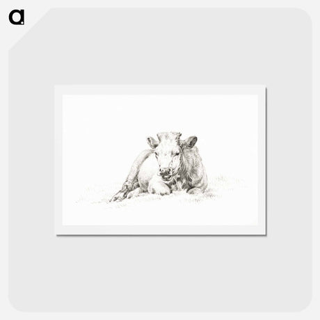 アートポストカード-Lying cow - ジャン ベルナール Postcard.