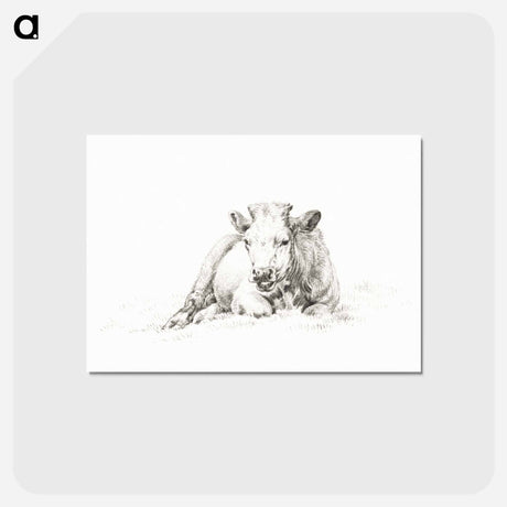 アートポストカード-Lying cow - ジャン ベルナール Postcard.