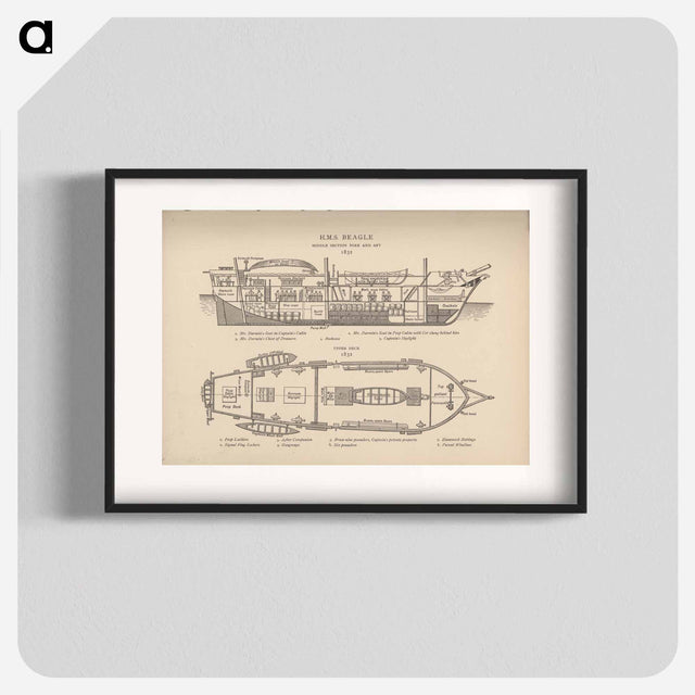 アートポスター-H.M.S. Beagle: Middle Section fore and aft, Upper Deck
 - 国立医学図書館 Poster.