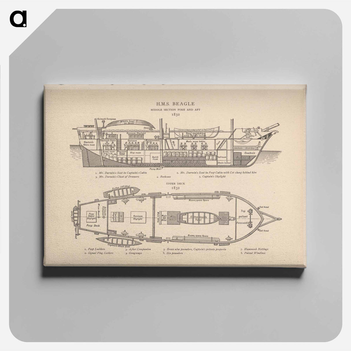 アートパネル-H.M.S. Beagle: Middle Section fore and aft, Upper Deck
 - 国立医学図書館 Canvas.