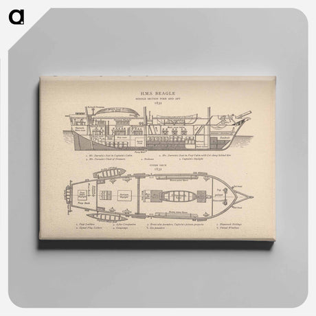 アートパネル-H.M.S. Beagle: Middle Section fore and aft, Upper Deck
 - 国立医学図書館 Canvas.