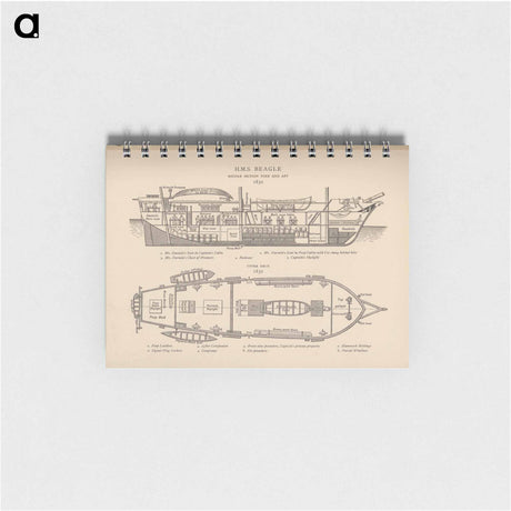 アートメモ帳-H.M.S. Beagle: Middle Section fore and aft, Upper Deck
 - 国立医学図書館 Memo.