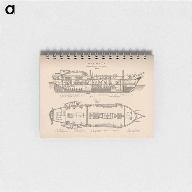 アートメモ帳-H.M.S. Beagle: Middle Section fore and aft, Upper Deck
 - 国立医学図書館 Memo.