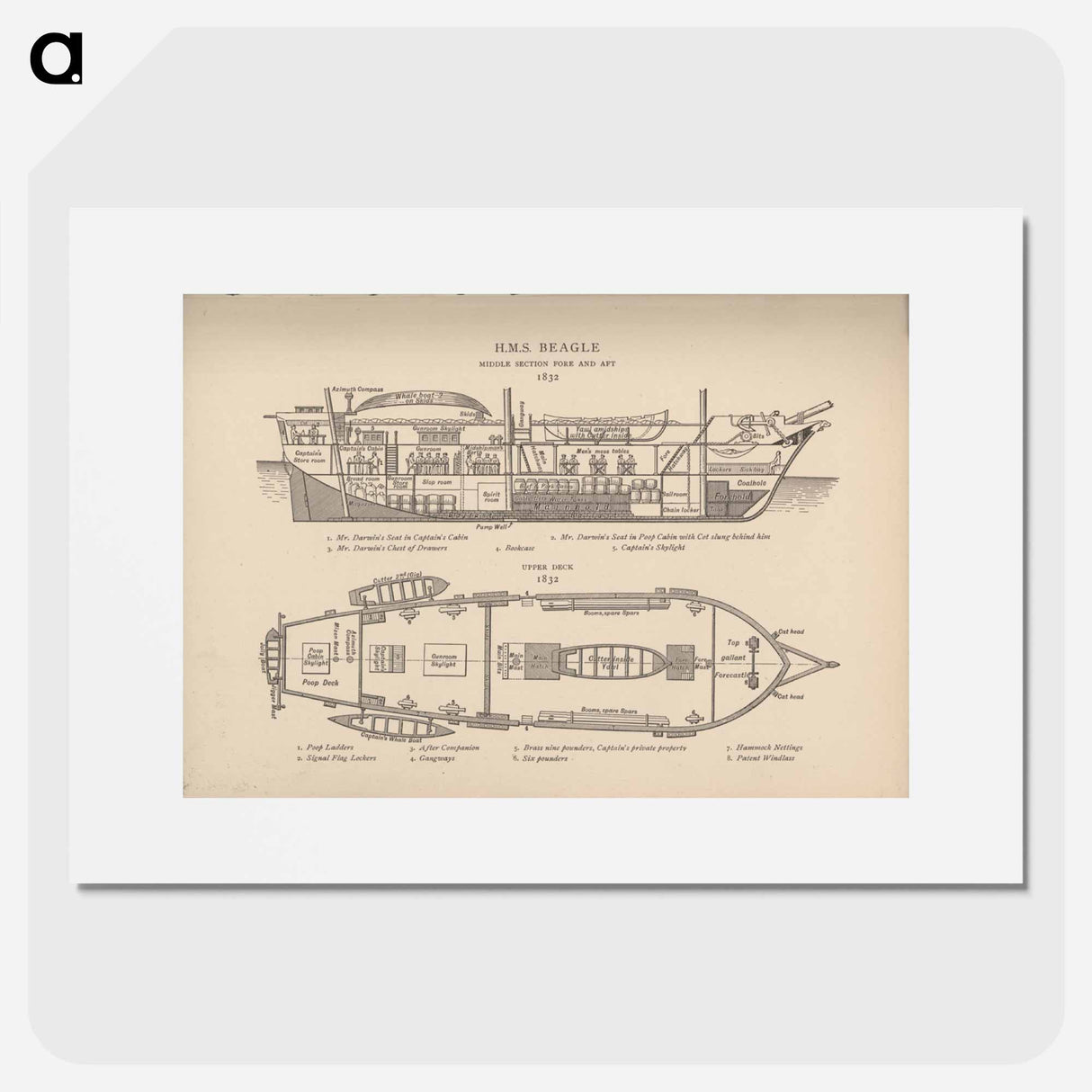 アートポスター-H.M.S. Beagle: Middle Section fore and aft, Upper Deck
 - 国立医学図書館 Poster.