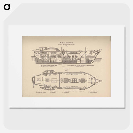 アートポスター-H.M.S. Beagle: Middle Section fore and aft, Upper Deck
 - 国立医学図書館 Poster.