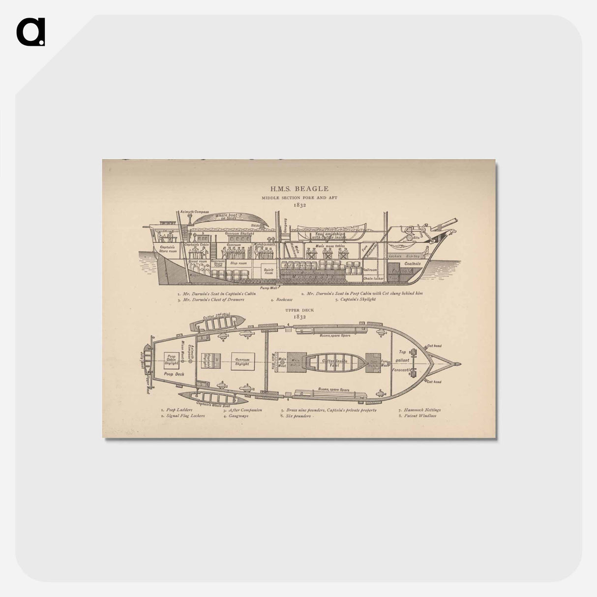 アートポストカード-H.M.S. Beagle: Middle Section fore and aft, Upper Deck
 - 国立医学図書館 Postcard.
