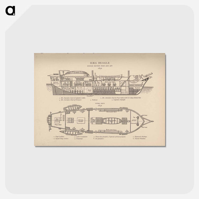 アートポストカード-H.M.S. Beagle: Middle Section fore and aft, Upper Deck
 - 国立医学図書館 Postcard.