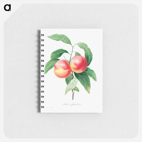 アートメモ帳-Peaches on a branch - ピエール ジョゼフ ルドゥーテ Memo.