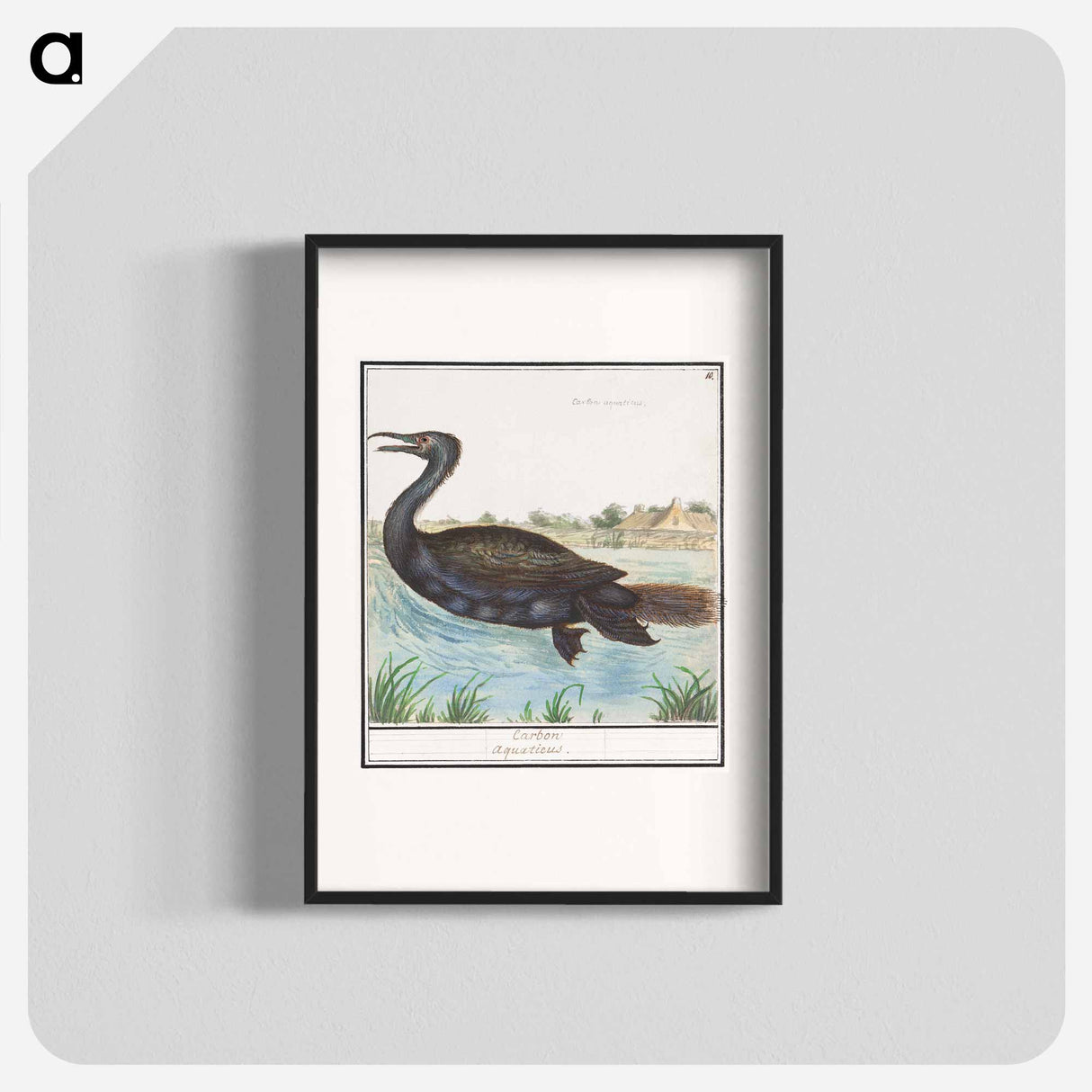 Cormorant - アンセルムス ボエティウス デ ブート Poster.