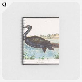 アートメモ帳-Cormorant - アンセルムス ボエティウス デ ブート Memo.
