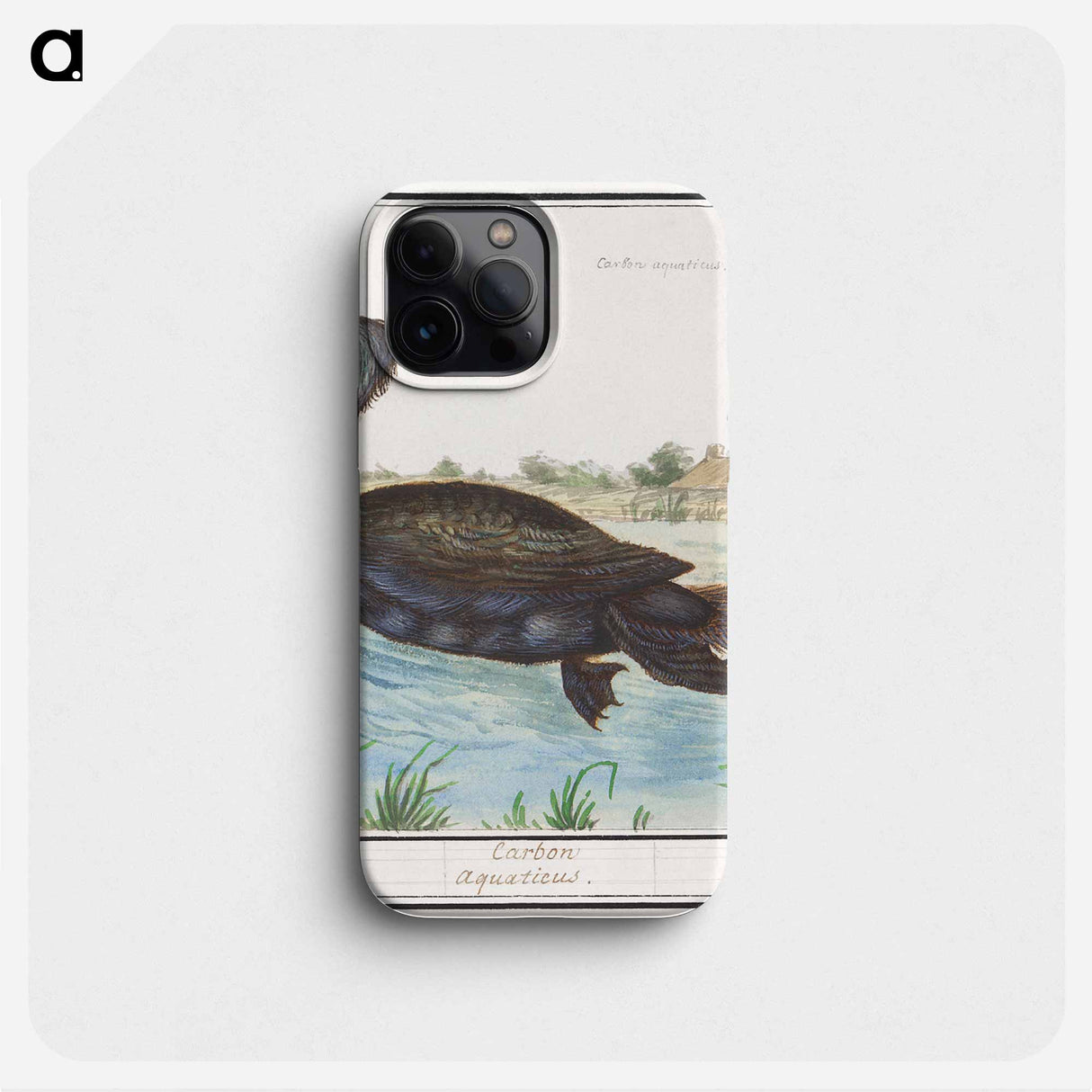Cormorant - アンセルムス ボエティウス デ ブート Phone Case.