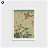アートポストカード-Hokusai's Swallow and begonia and strawberry pie - 葛飾 北斎 Postcard.