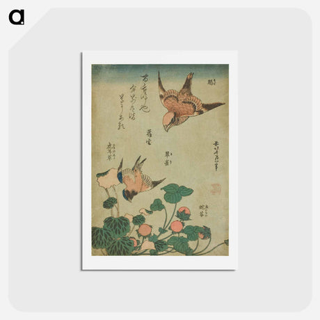 アートポストカード-Hokusai's Swallow and begonia and strawberry pie - 葛飾 北斎 Postcard.