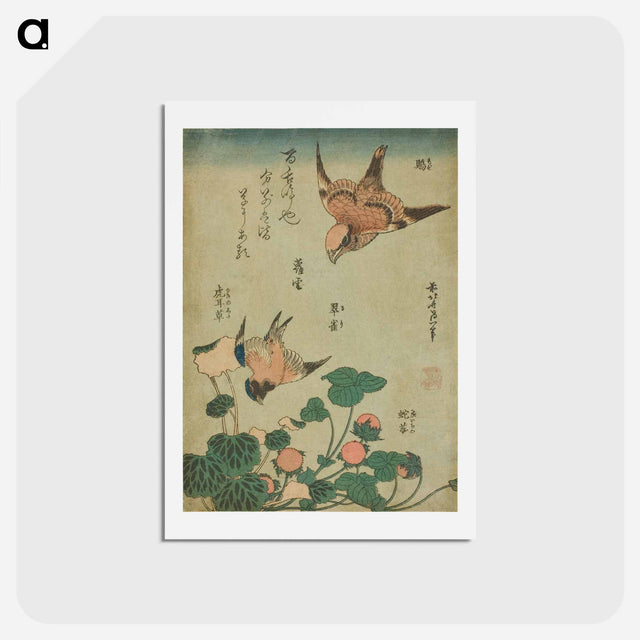 アートポストカード-Hokusai's Swallow and begonia and strawberry pie - 葛飾 北斎 Postcard.