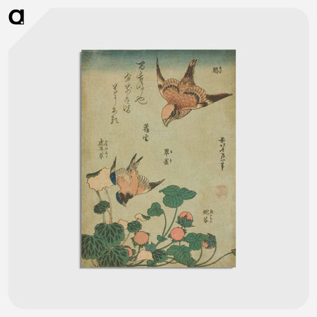 アートポストカード-Hokusai's Swallow and begonia and strawberry pie - 葛飾 北斎 Postcard.