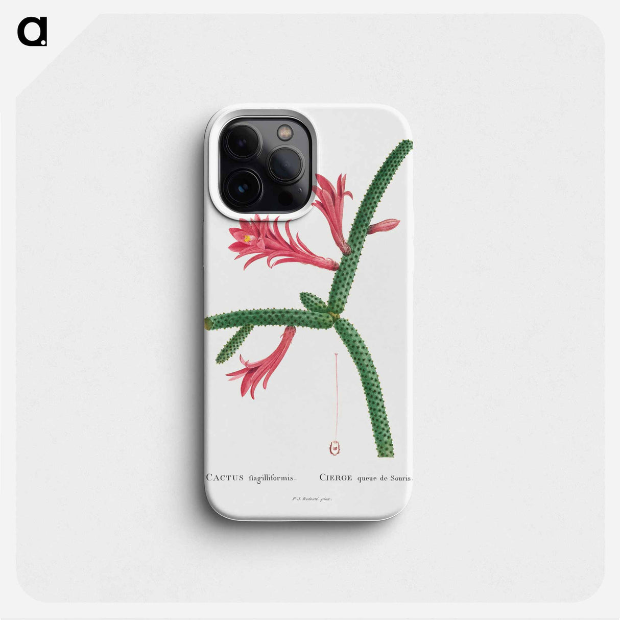 Cactus Flagelliformis - Pierre Joseph Redouté Phone Case.