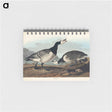 アートメモ帳-Barnacle Goose from Birds of America
 - アメリカの鳥たち Memo.