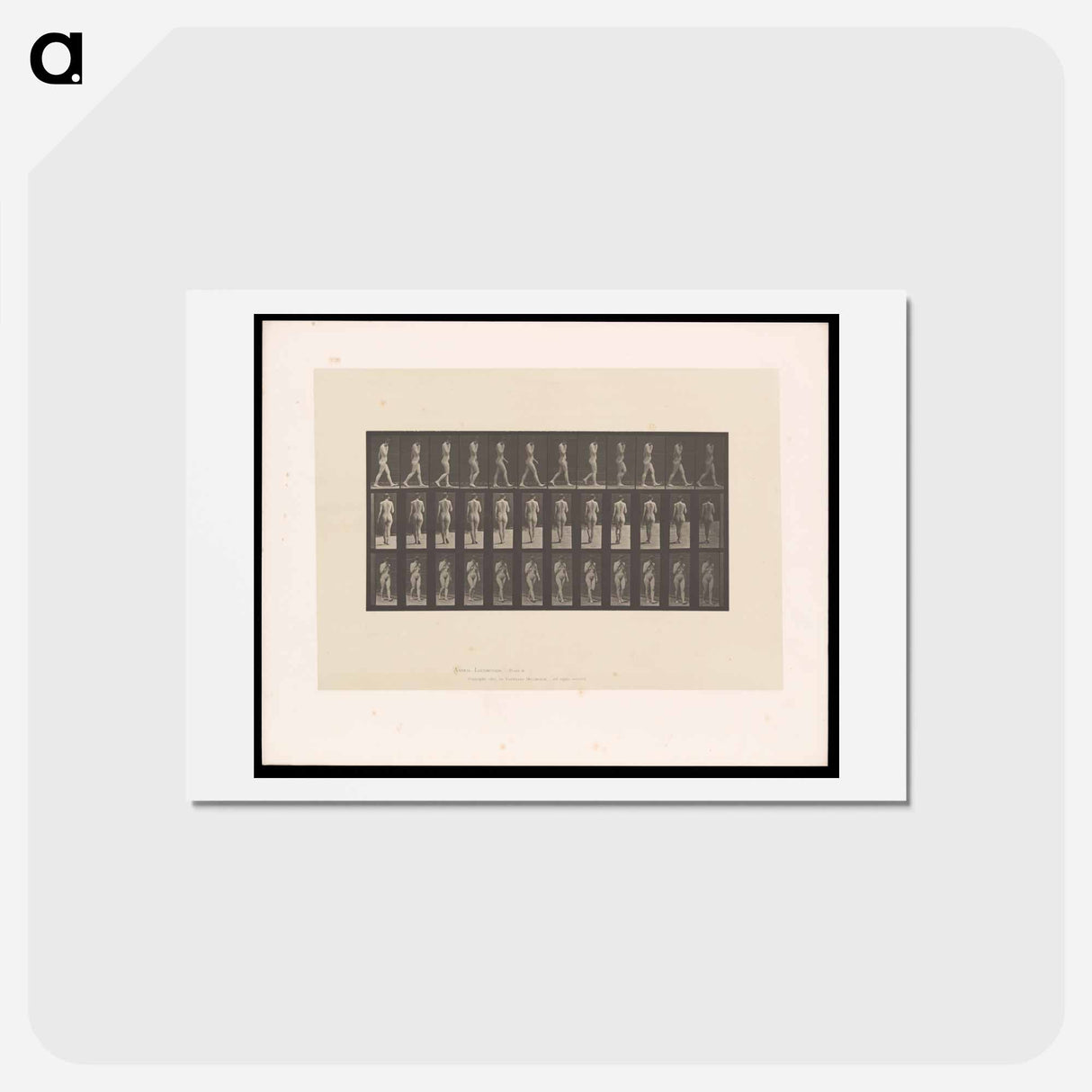 アートポストカード-Naked Woman Walking
 - エドワード マイブリッジ Postcard.