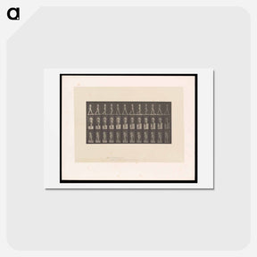 アートポストカード-Naked Woman Walking
 - エドワード マイブリッジ Postcard.
