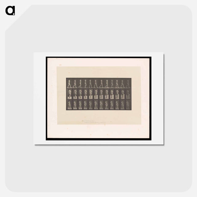 アートポストカード-Naked Woman Walking
 - エドワード マイブリッジ Postcard.
