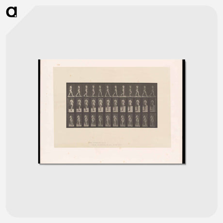 アートポストカード-Naked Woman Walking
 - エドワード マイブリッジ Postcard.