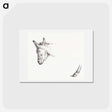 アートポストカード-Head and paw of an ass - ジャン ベルナール Postcard.