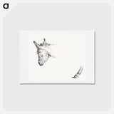 アートポストカード-Head and paw of an ass - ジャン ベルナール Postcard.