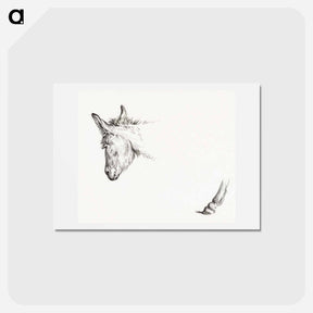 アートポストカード-Head and paw of an ass - ジャン ベルナール Postcard.