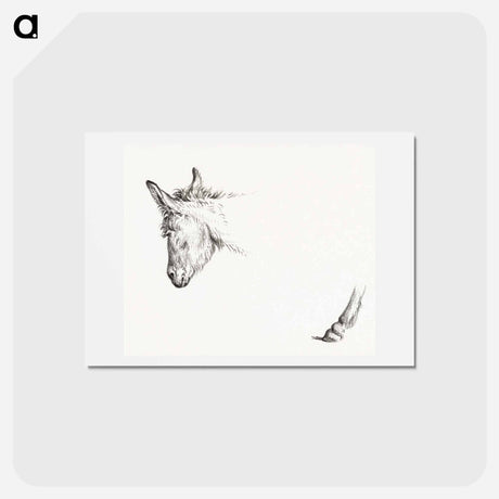 アートポストカード-Head and paw of an ass - ジャン ベルナール Postcard.