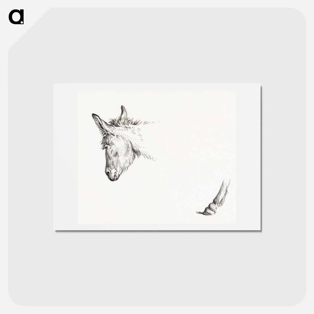 アートポストカード-Head and paw of an ass - ジャン ベルナール Postcard.