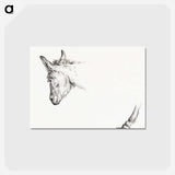 アートポストカード-Head and paw of an ass - ジャン ベルナール Postcard.
