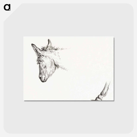 アートポストカード-Head and paw of an ass - ジャン ベルナール Postcard.