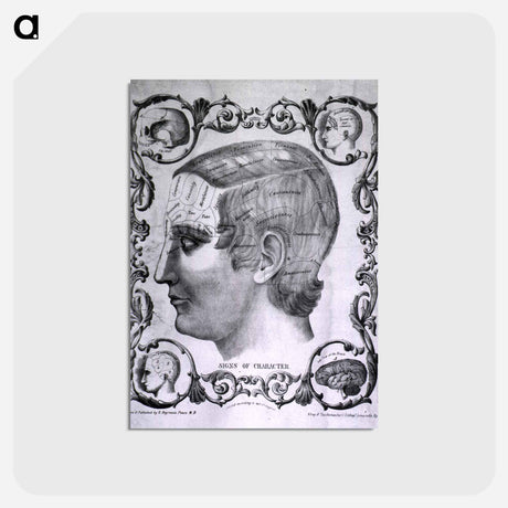 アートポストカード-Signs of Character
 - 国立医学図書館 Postcard.