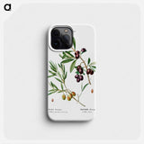 Olive (Olea Europæa) - Pierre Joseph Redouté Phone Case.