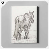 アートパネル-Standing horse - ジャン ベルナール Canvas.
